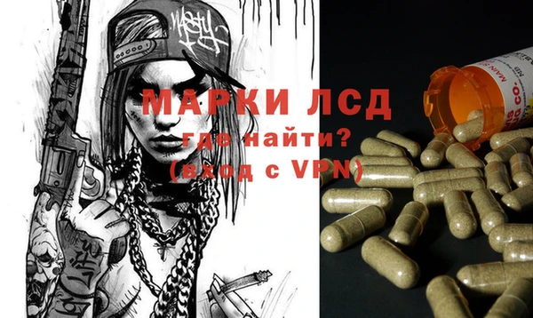 бошки Беломорск