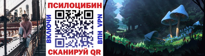 Псилоцибиновые грибы Psilocybine cubensis  Купить  Демидов 